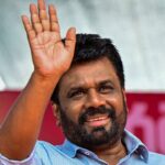 Sri Lanka Produces Only 43% of National Milk Requirement, Deputy Minister Says