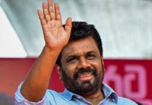 Sri Lanka Produces Only 43% of National Milk Requirement, Deputy Minister Says