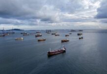 Oman Revives Proposal for Joint Hormuz Management as Regional Tensions Persist